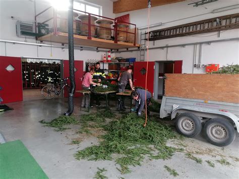 Maibaum Aufstellen 2023 Freiwillige Feuerwehr Öblarn