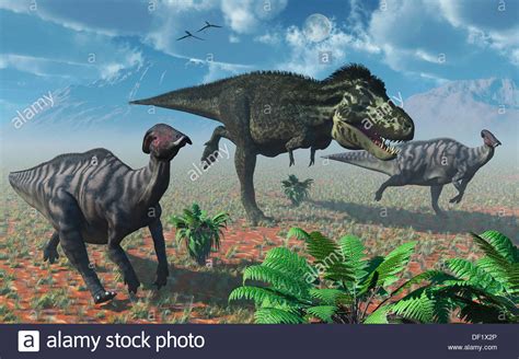 T Rex Jagd Parasaurolophus Duckbill Dinosaurier Stockfotografie Alamy