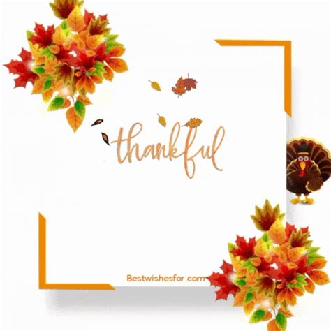 Happy Thanksgiving 2022 Animated Best Wishes