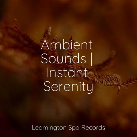 Ambient Sounds Instant Serenity Album By Meditation Music Club