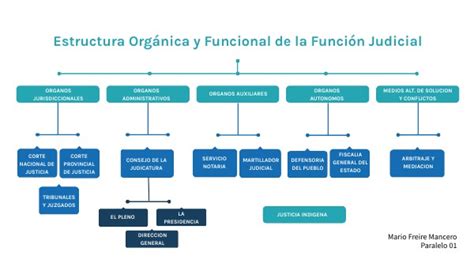 Estructura Org Nica De La Funci N Judicial