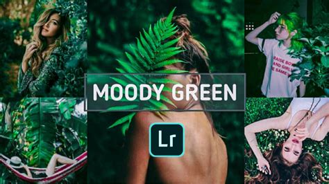 Moody Green Preset Lightroom Mobile Preset Lightroom Editing