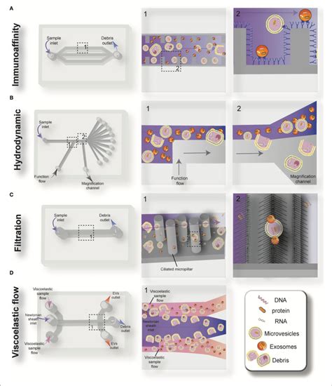 Schematic View Of The Passive Microfluidic Based Methods For