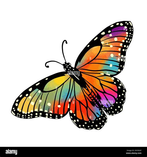 The Abstract Butterfly Is Multicolored Vector Illustration Stock