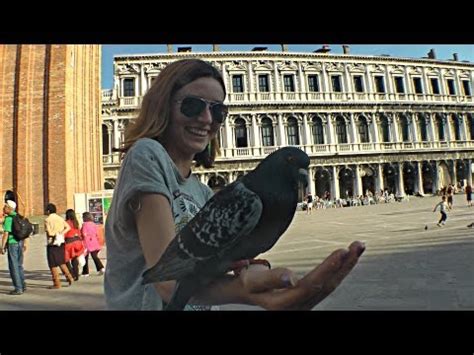 Кормим голубей слабительным в Венеции - YouTube