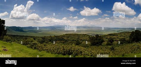 Panoramic View Of Ngorongoro Crater Tanzania Stock Photo Alamy