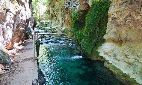 Los Grandes Logros Alcanzados En La Reserva De La Biosfera Sierra Gorda