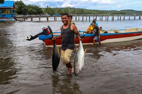 Masih Besarkah Potensi Perikanan Tuna Di Indonesia