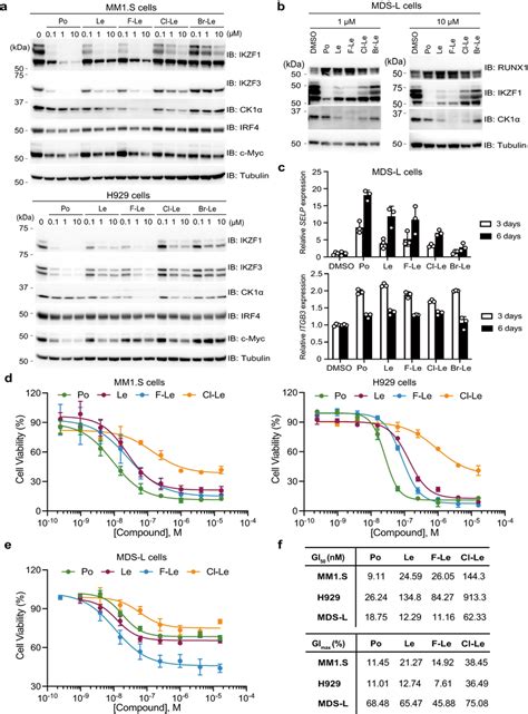 Anti Proliferative Effect Of 6 Position Modified Lenalidomide On