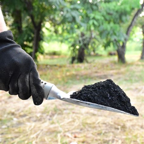 Bio C Biochar Para Mejoramiento De Suelos Y Uso Agr Cola Carbotecnia