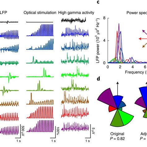 Increased Phase Locking Of Individual Neurons To Close Oscillations A