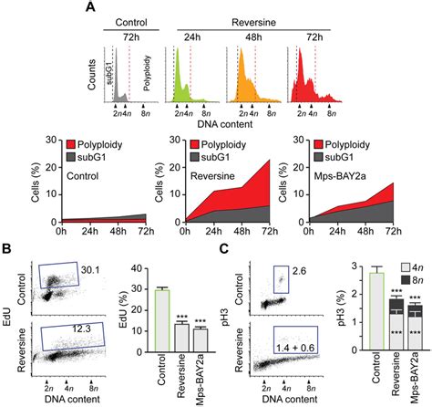 Mps1 Inhibition Induces Polyploidy In Neuroblastoma Cells A