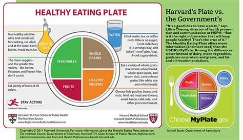 Sexto Ceip Men Ndez Pidal Coslada Healthy Food The Harvard Plate