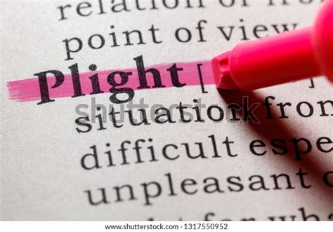 Fake Dictionary Dictionary Definition Word Plight Stock Photo