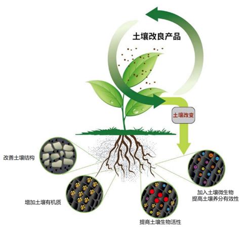 土壤改良方案中科绿控科技有限公司