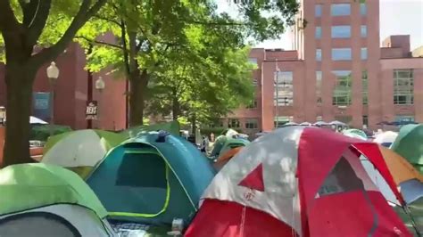 Las Protestas Pro Palestina Contin An En Las Universidades De Ee Uu