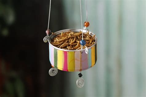 9 DIY Plans to Make Homemade Bird Feeders - Going EverGreen