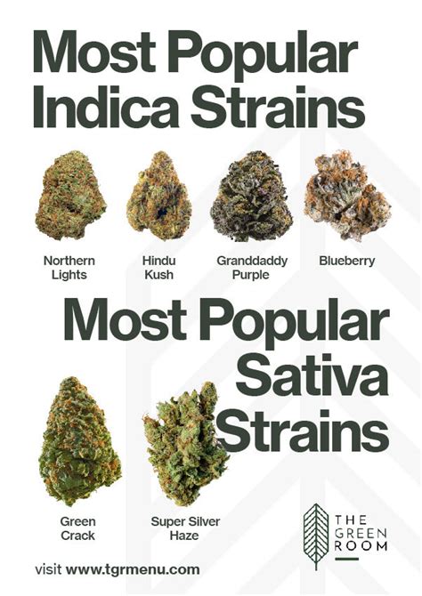 Most Popular Weed Strains Official 2022 List