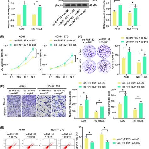 Overexpression Of P Rescues The Malignant Phenotype Of Cancer Cells