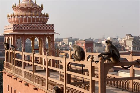 Palacio Hawa Mahal De Los Vientos En Jaipur Foto De Archivo Imagen De