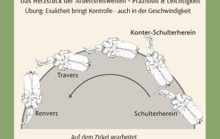 Reitübungen für jeden Tag Archive Angelika Graf Verlag