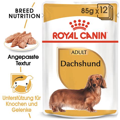 Royal Canin Dachshund Adult Wet Dackel Bestellen Medpets De