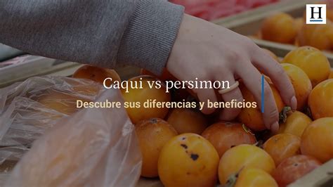 Caqui O Persimon Diferencias Y Beneficios Para La Salud De Estas Frutas