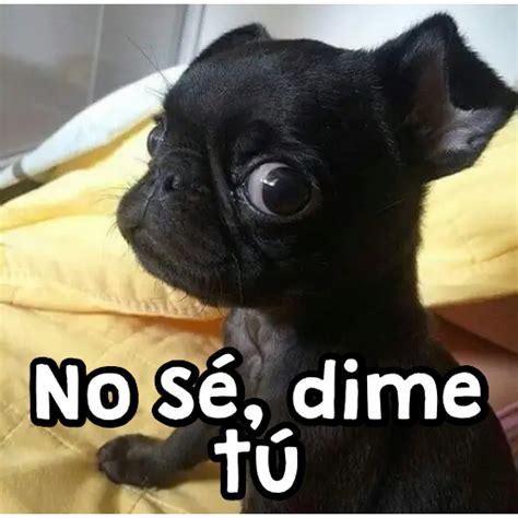 No Sé Dime Tú Sticker De Whatsapp Descargarstickers