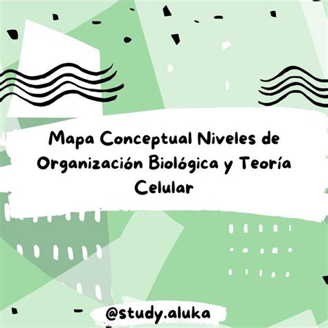 Mapa Conceptual Niveles De Organizaci N Biol Gica Y Teor A Celular