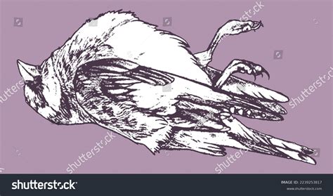 Hand Drawn Portrait Dead Bird Drawing Stock Vector (Royalty Free) 2239253817 | Shutterstock