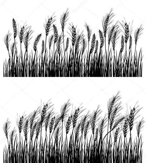 Field Of Wheat Stock Vector By ©valentru 9674680