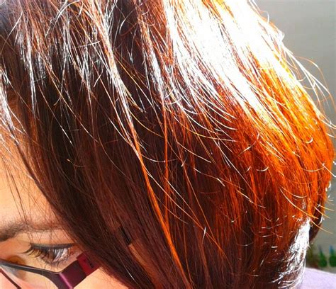 Blog Sobre Henna Para Te Ir Cabello Cosm Tica Natural Manualidades