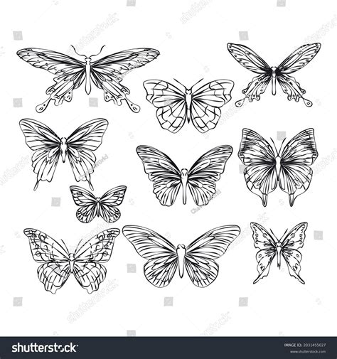 Tattoo Art Butterfly Hand Drawing Sketch Stock Vector Royalty Free