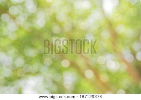 Blurred Nature Image & Photo (Free Trial) | Bigstock