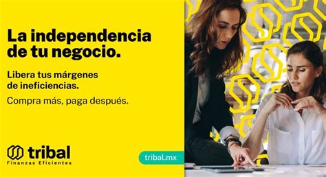 Tribal Cinco Pasos Para Alcanzar La Independencia Financiera De Tu