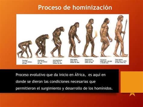 Proceso De Hominizaci N Ppt Descarga Gratuita