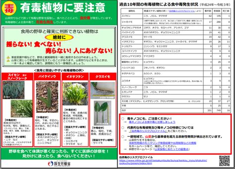 有毒植物による食中毒防止の徹底について／川根本町公式ホームページ