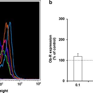 Constitutive Expression Of Ob R In Mature Rat Peritoneal MCs Analyzed