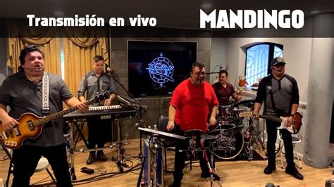 Mandingo en vivo Retransmisión de Facebook YouTube