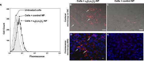 Flow Cytometry And Confocal Imaging Were Used To Assess The