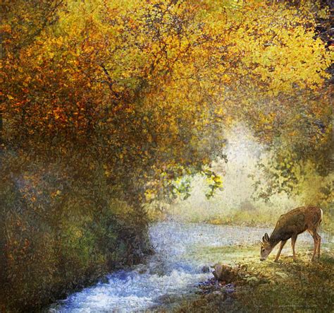 Deer By Woodland Brook Painting By R Christopher Vest