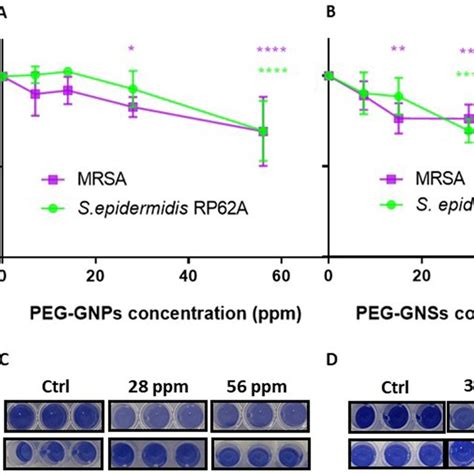 Dose Dependent Effects Of Peg Gnps And Peg Gnss On Staphylococcal