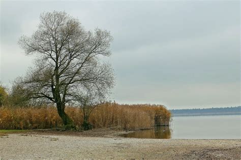 Kostenlose Foto Landschaft Baum Wasser Natur Gras Horizont