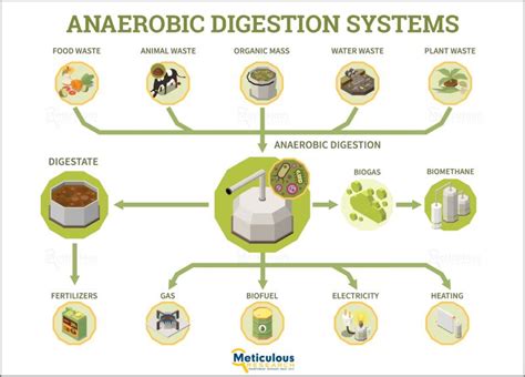 Revolutionizing Sustainability Anaerobic Digestion Systems