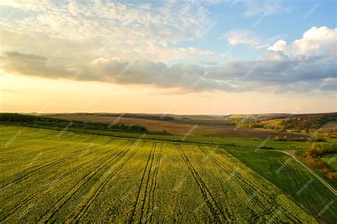 Premium Photo Aerial View Of Bright Green Agricultural Farm Field