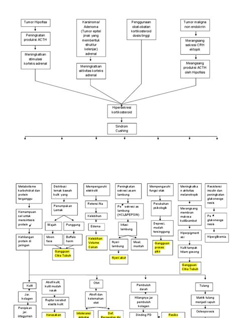patofisiologi cushing sindrom.doc