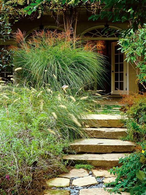 Ways To Split Ornamental Grasses Traditional Landscape Ornamental Grasses Hgtv Garden