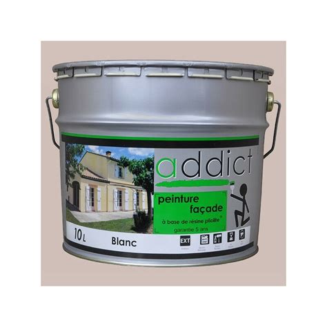 ADDICT Façade 100 pliolite 10L ton pierre pierre DELZ ADD 51500710TNPR