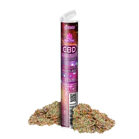 Hemp Living Premium Cbd Flower 1g Pre Roll Critical Beries Hemp Living Usa