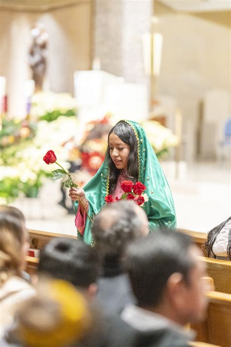 Our Lady Of Guadalupe Mass Celebrated At St Columba Cathedral The